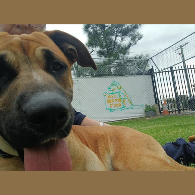 Photo of Gertie