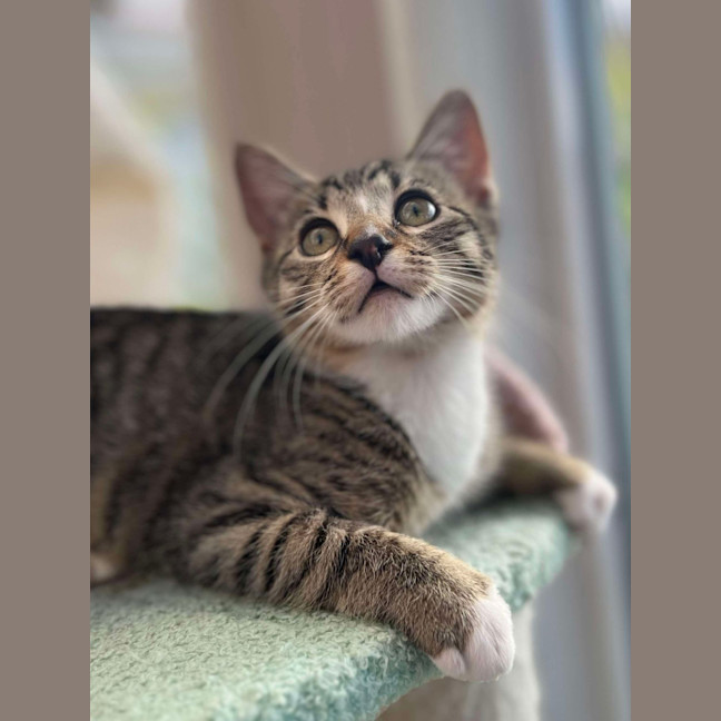 Photo of ❤️ Marlee ❤️