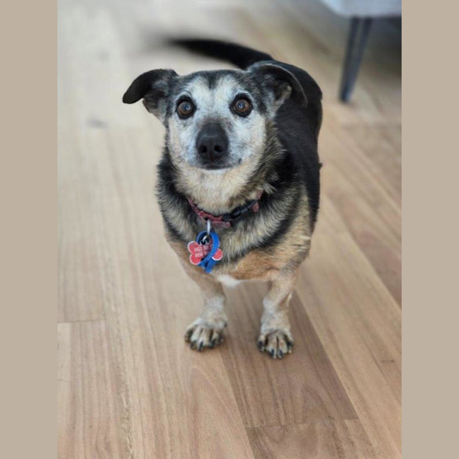 Photo of Barney Lozano