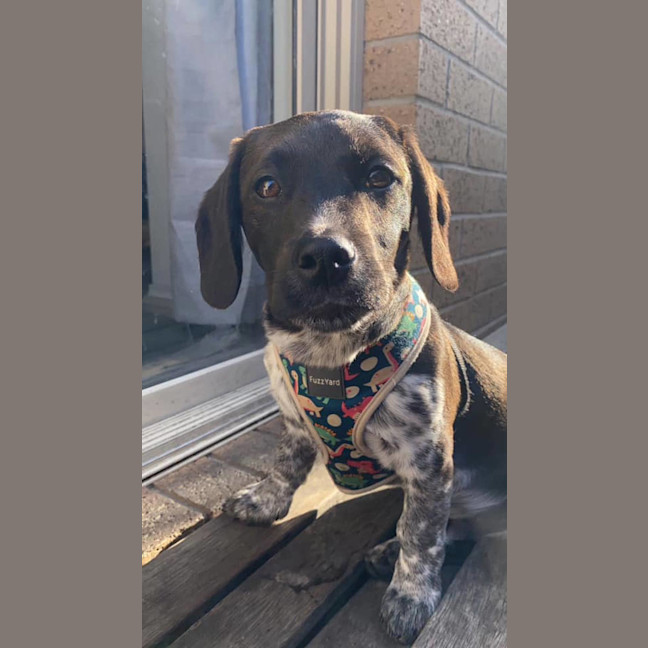 Photo of Echo