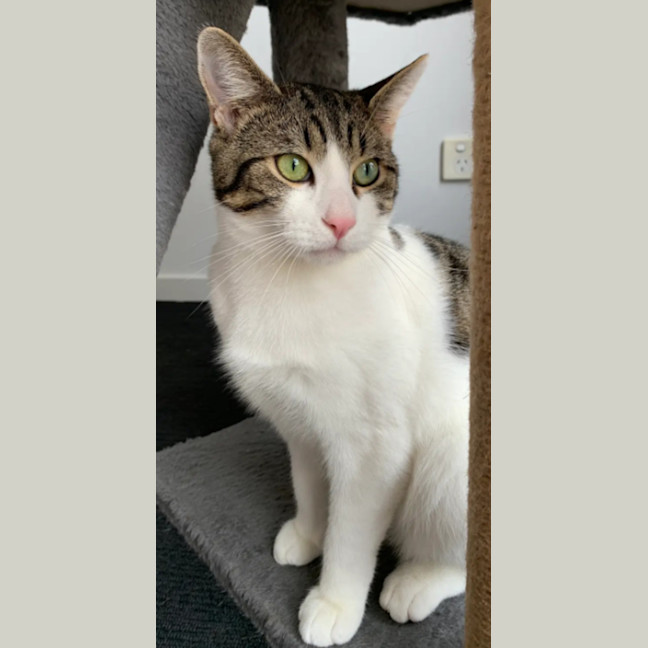 Photo of Perry & Parker 💙🌷