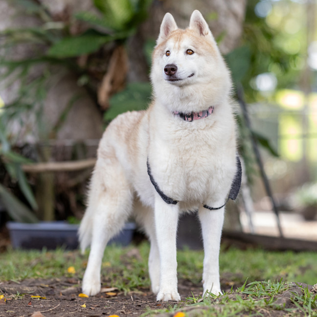 Photo of Zara