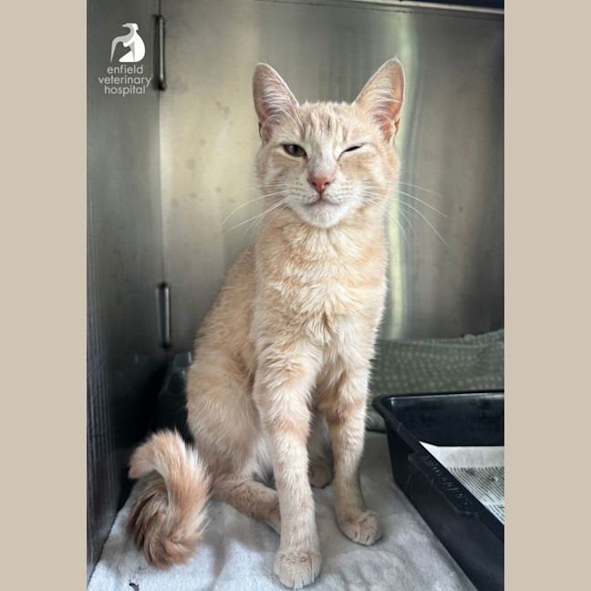 Photo of Happy Heidi