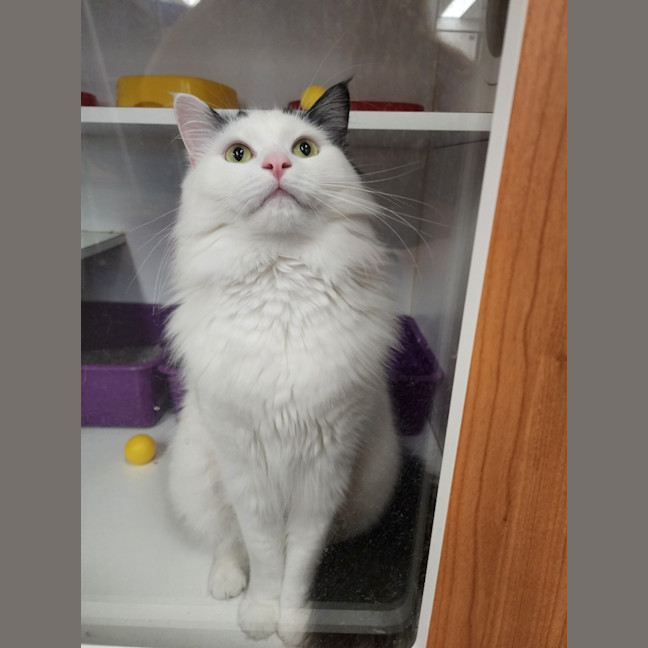 Photo of Bobby And Poker