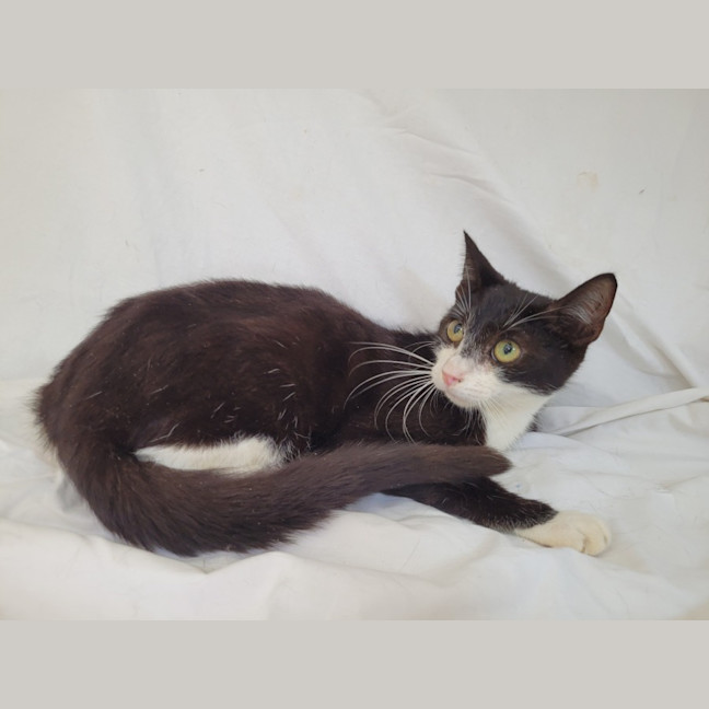 Photo of Harley ❤️