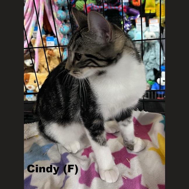 Photo of Cindy