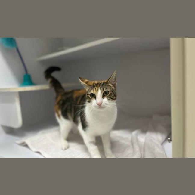 Photo of Meredith