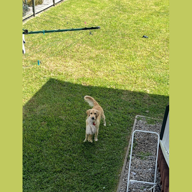 Photo of Billy