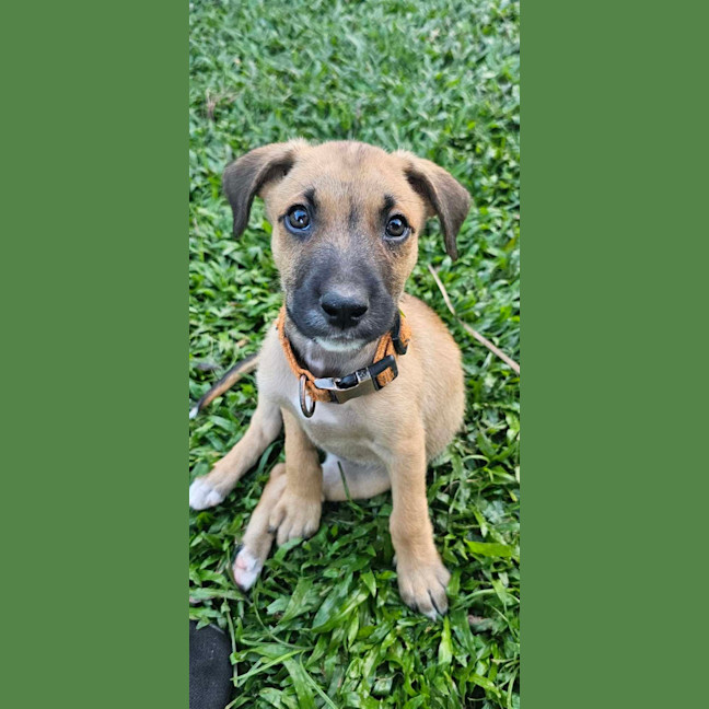 Photo of Uno