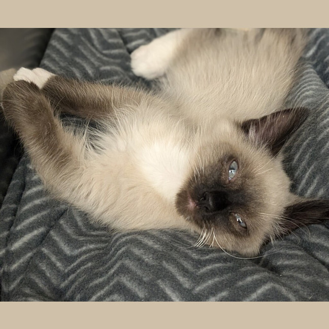 Photo of Mavi