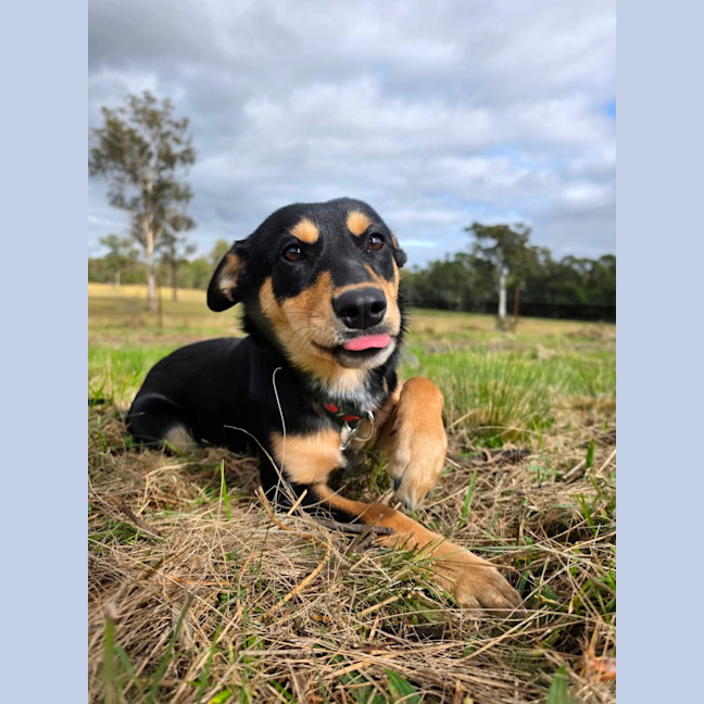 Photo of Pia