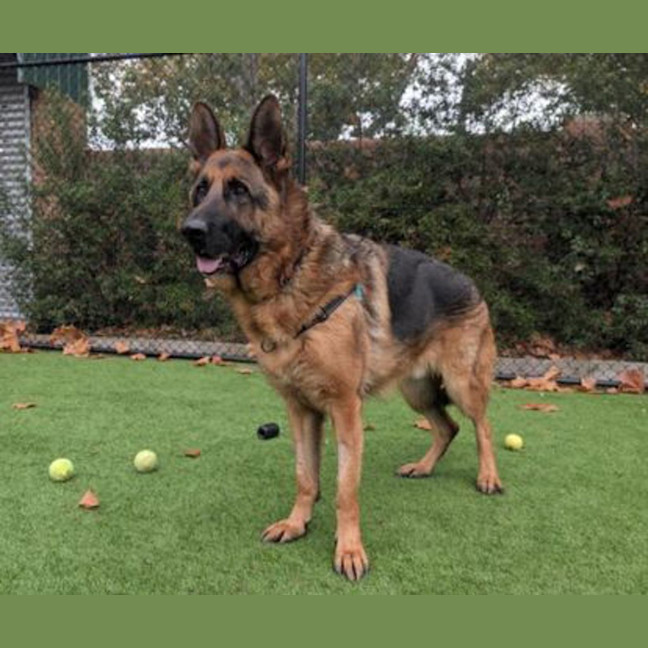 Photo of Zeus