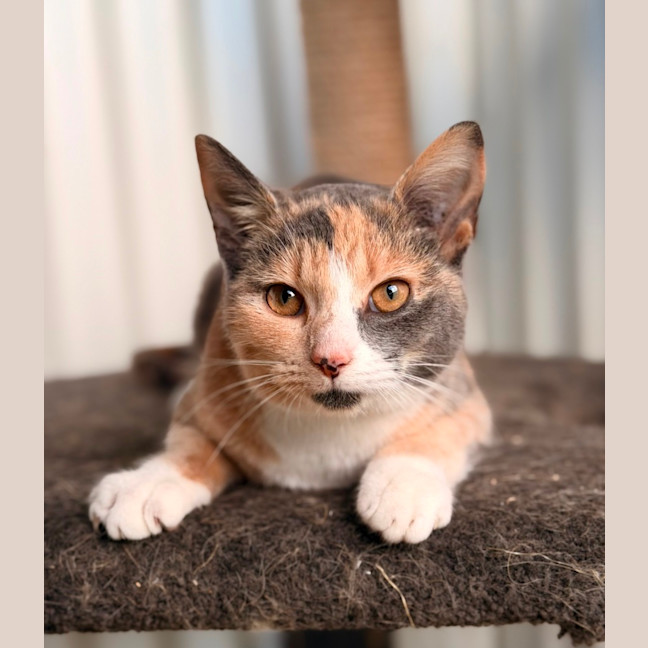 Photo of Connie