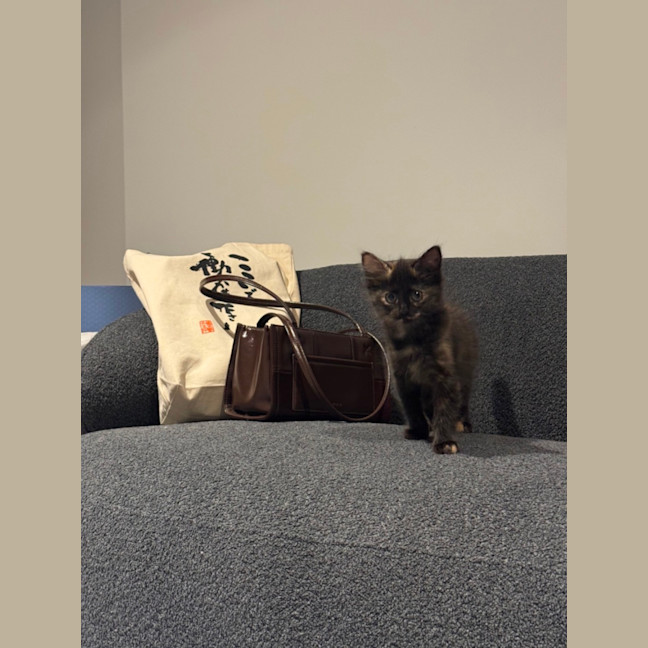 Photo of Feta & Olive