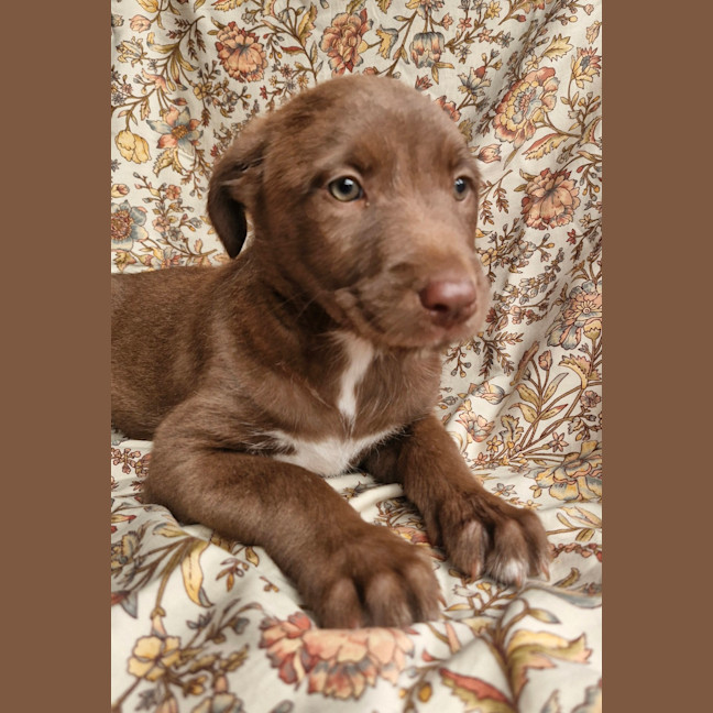 Photo of Leeloo (Jade) 