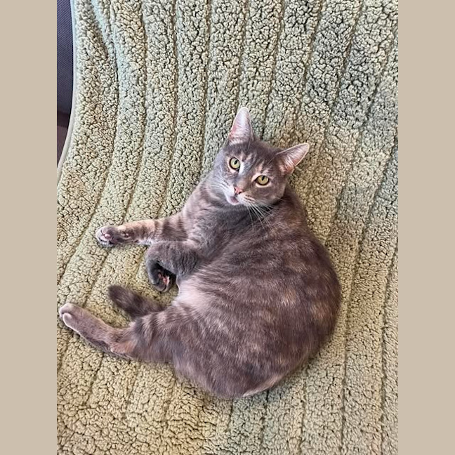 Photo of Tictac
