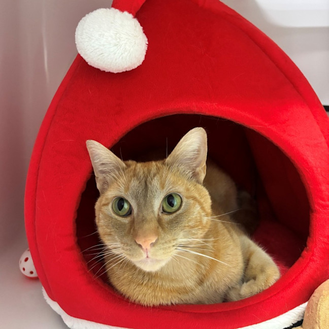 Photo of Alex Rsuk012009