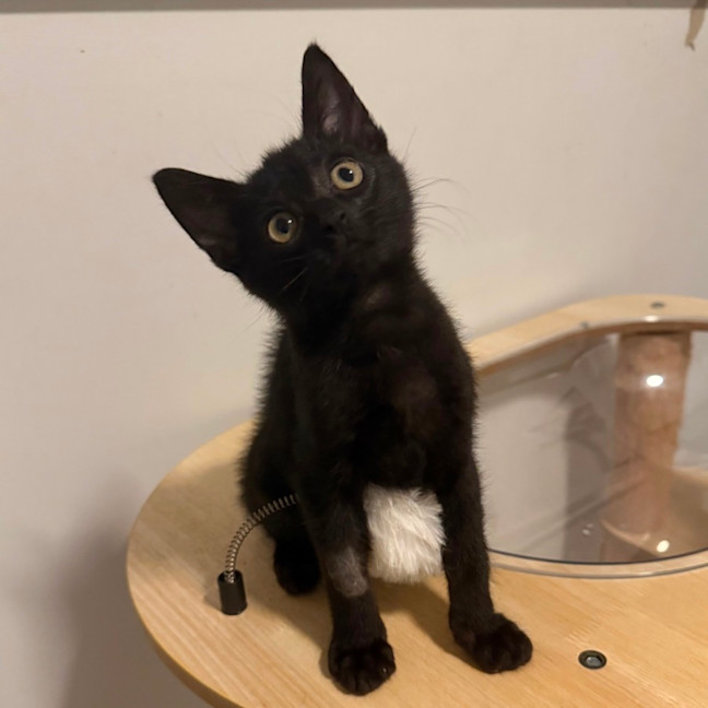 Photo of Elliott 🥥