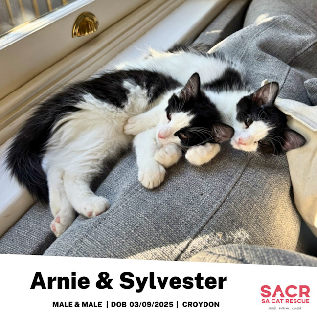 Photo of Arnie & Sylvester