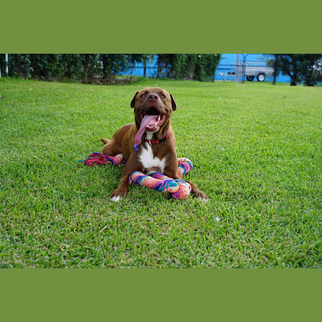 Photo of Wally