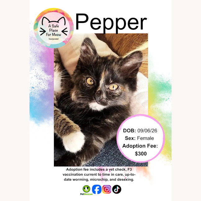Photo of Pepper