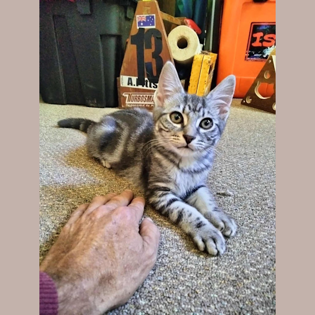 Photo of Hiro