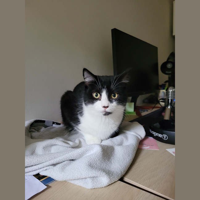 Photo of Barney