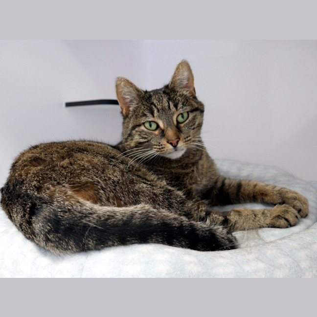 Photo of Lola Sua015684