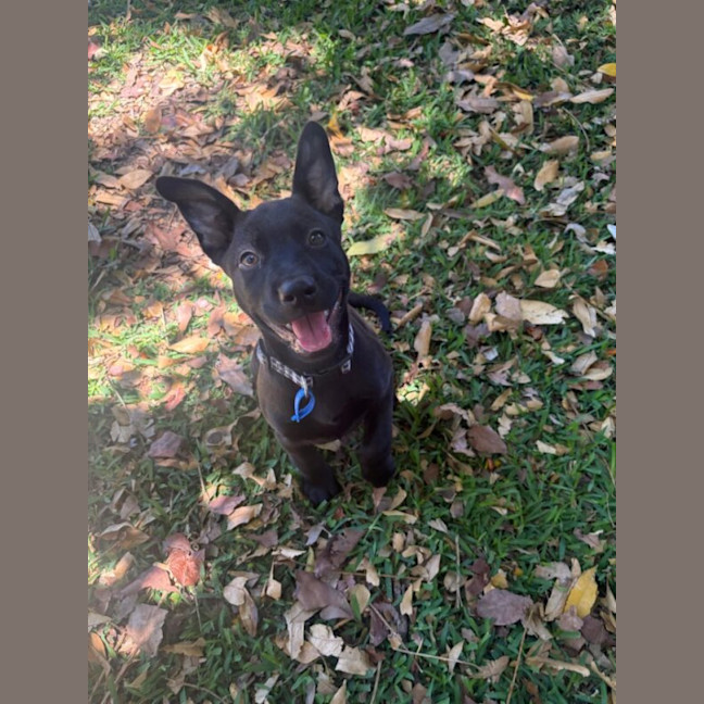 Photo of Bonnie