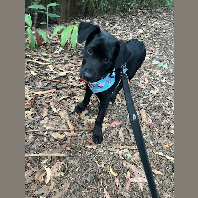 Photo of Maisy