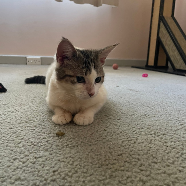 Photo of Emily