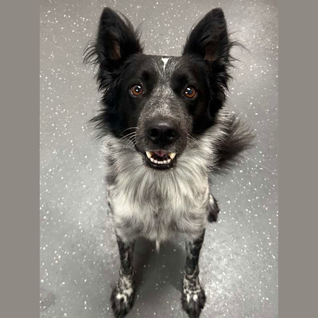 Photo of Ninja