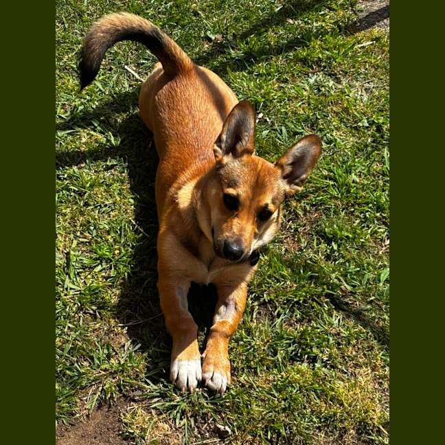 Photo of Teka