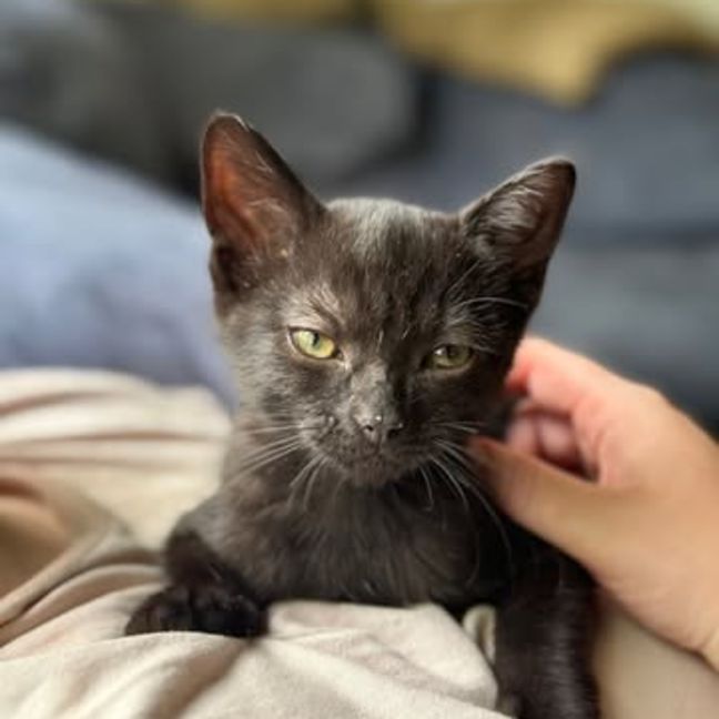 Photo of Berry