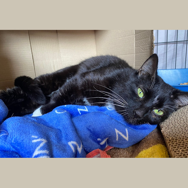 Photo of Mr Darcy