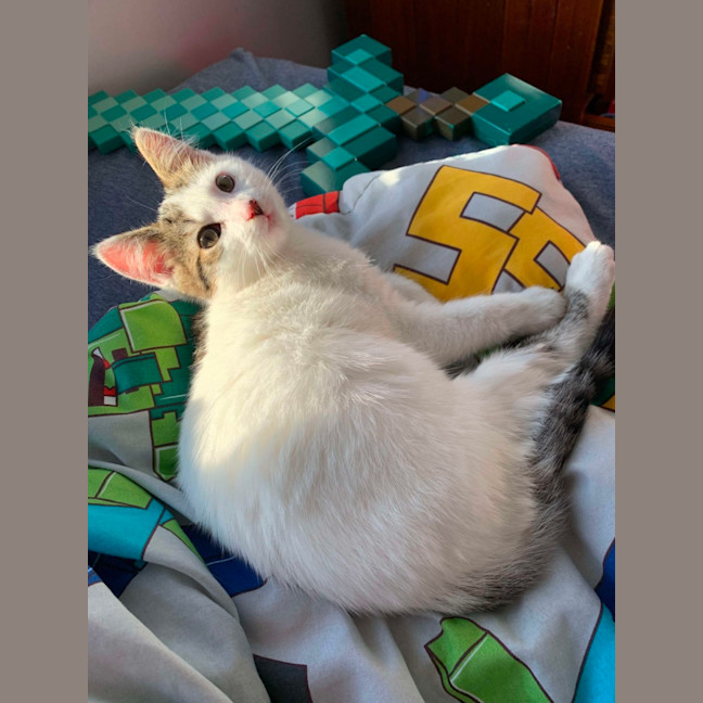 Photo of Johnny   Super Friendly