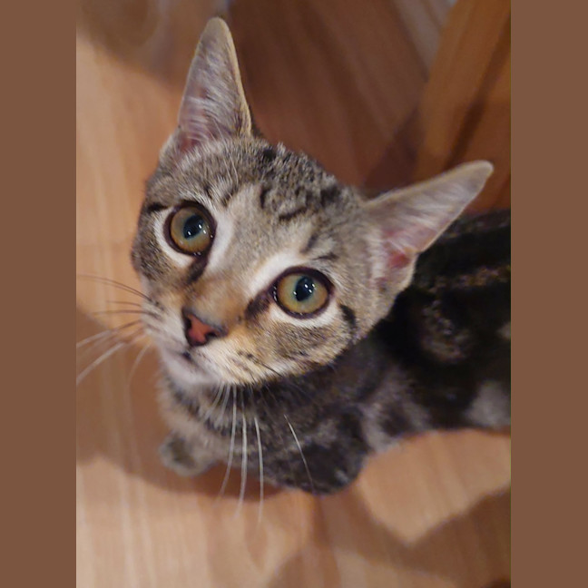 Photo of Martin