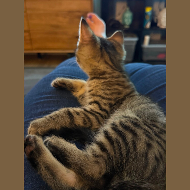 Photo of Rosie