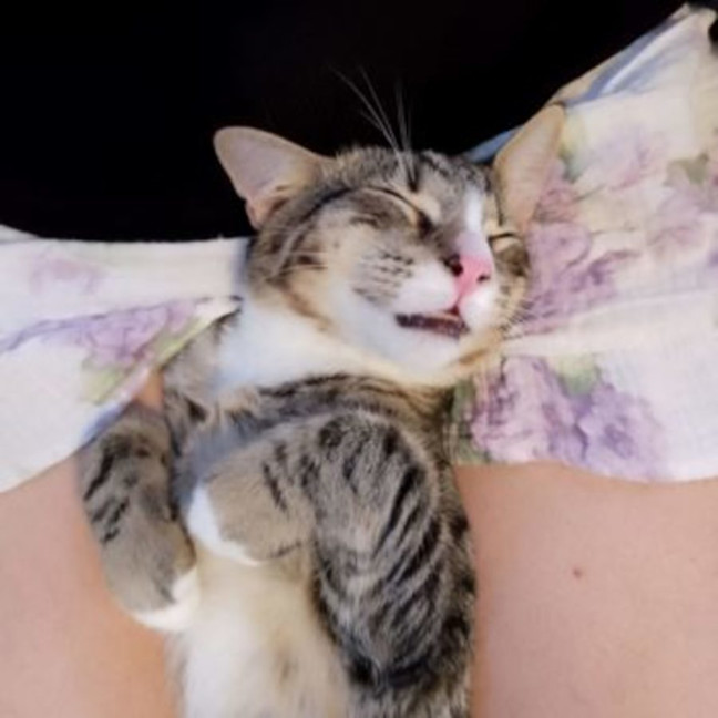 Photo of Finely