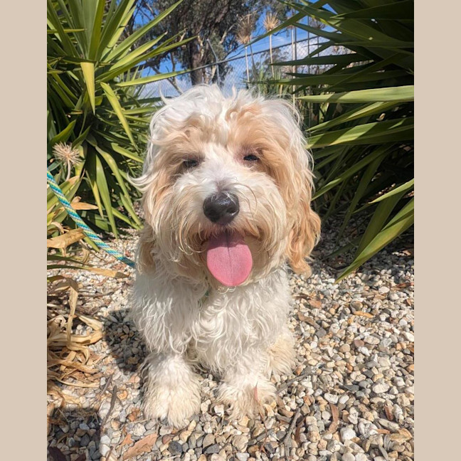 Photo of Scott Speedman