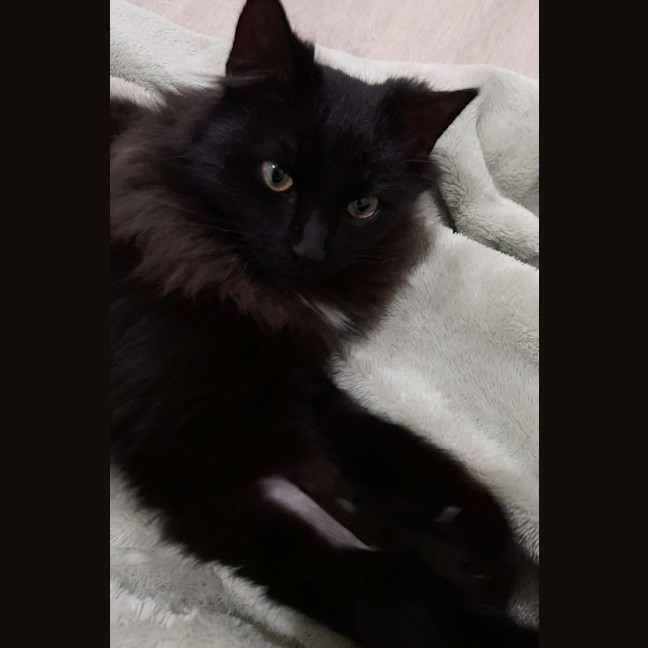 Photo of Ember