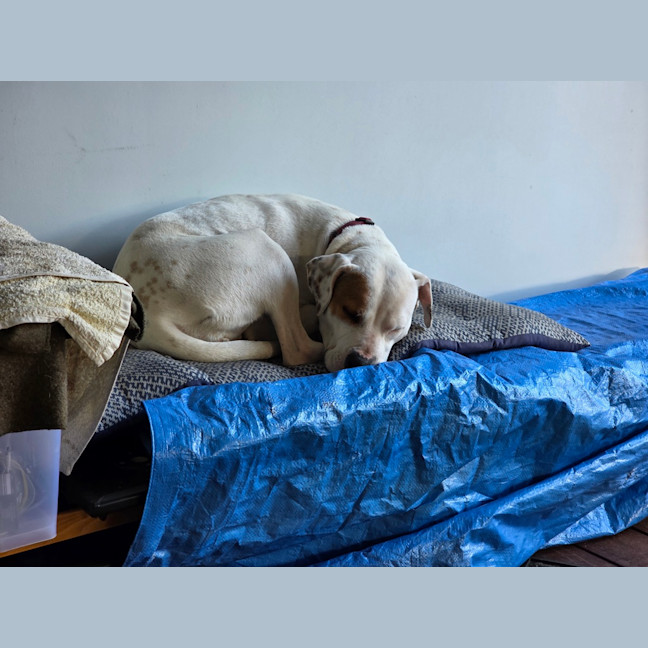 Photo of Marble
