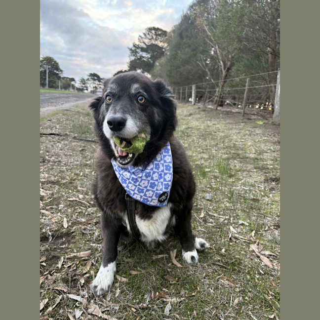 Photo of Susie