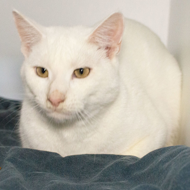 Photo of Cloudy