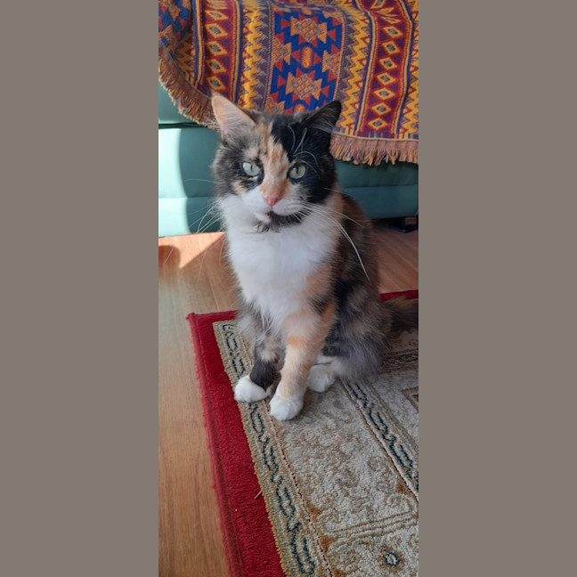 Photo of Elisabeth Sparkle