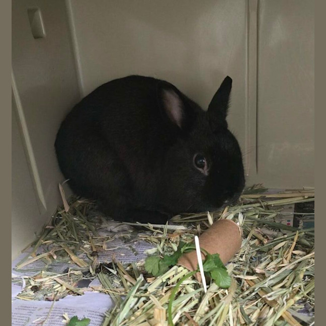 Photo of Cottage Cheese