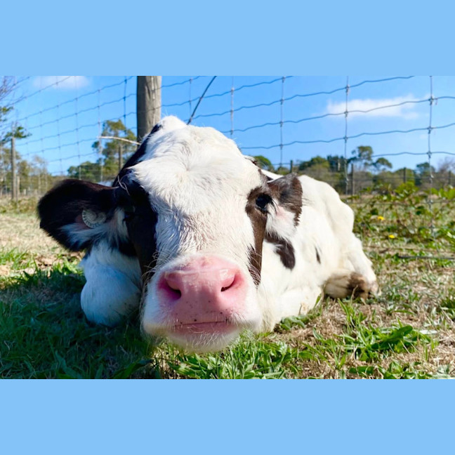 Photo of Ainsley And Ridley