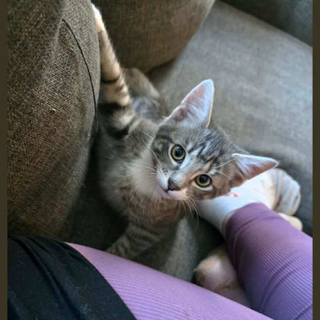 Photo of Jean Luc & Socks