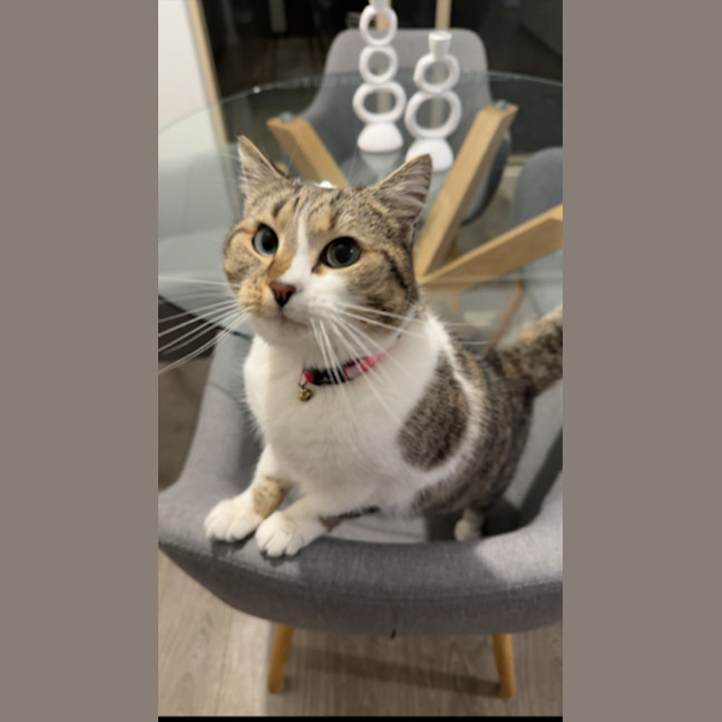 Photo of Kiara