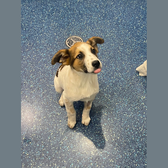 Photo of Sprout 